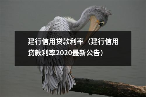 建行信用贷款利率（建行信用贷款利率2020最新公告）