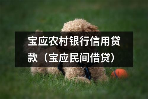 宝应农村银行信用贷款(宝应民间借贷)