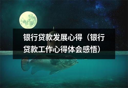 银行贷款发展心得（银行贷款工作心得体会感悟）