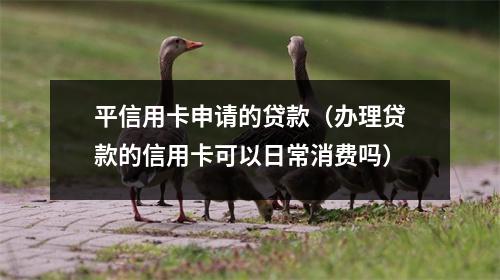 平信用卡申请的贷款（办理贷款的信用卡可以日常消费吗）