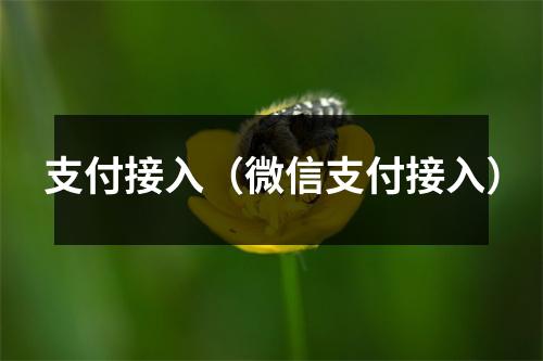 支付接入（微信支付接入）