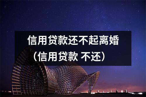 信用贷款还不起离婚（信用贷款 不还）