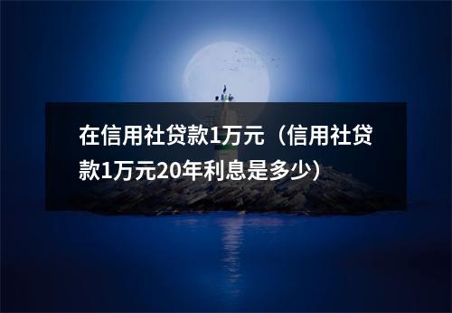在信用社贷款1万元（信用社贷款1万元20年利息是多少）