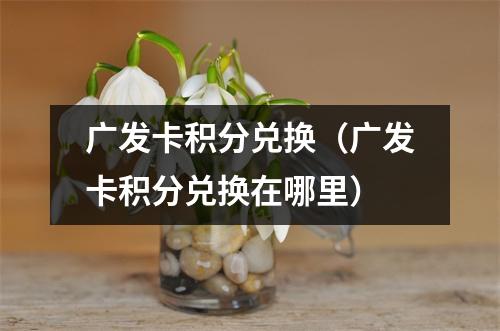 广发卡积分兑换（广发卡积分兑换在哪里）