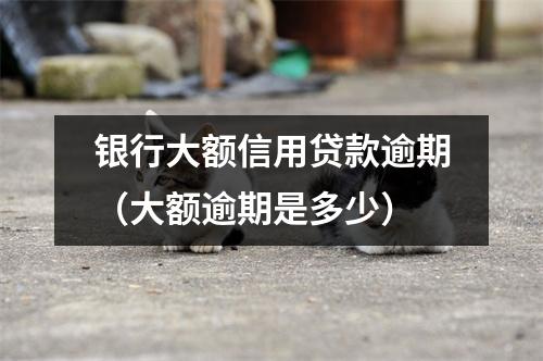 银行大额信用贷款逾期（大额逾期是多少）