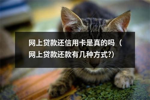 网上贷款还信用卡是真的吗(网上贷款还款有几种方式?)