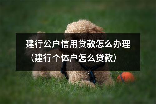 建行公户信用贷款怎么办理（建行个体户怎么贷款）