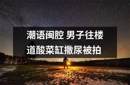 潮语闽腔 男子往楼道酸菜缸撒尿被拍