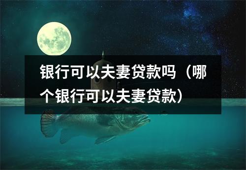 银行可以夫妻贷款吗（哪个银行可以夫妻贷款）