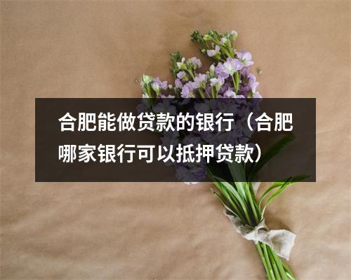 合肥能做贷款的银行（合肥哪家银行可以抵押贷款）