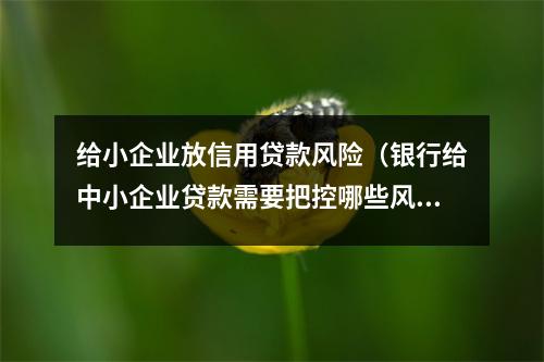 给小企业放信用贷款风险（银行给中小企业贷款需要把控哪些风险）