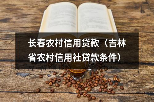 长春农村信用贷款（吉林省农村信用社贷款条件）