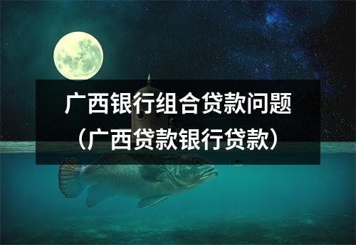 广西银行组合贷款问题（广西贷款银行贷款）