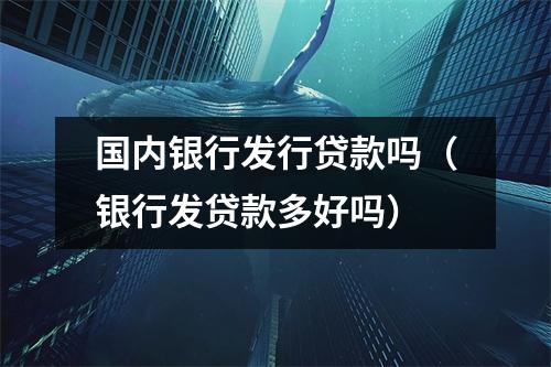 国内银行发行贷款吗（银行发贷款多好吗）