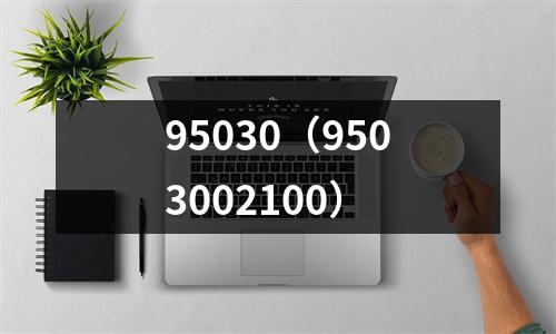 95030（9503002100）