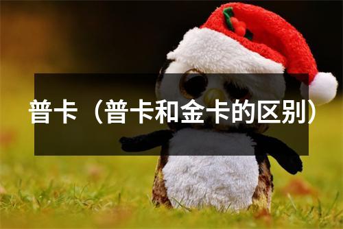 普卡（普卡和金卡的区别）