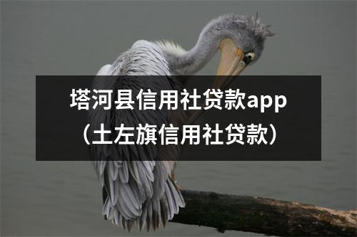 塔河县信用社贷款app（土左旗信用社贷款）