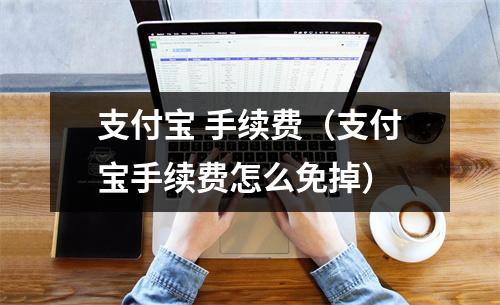 支付宝 手续费（支付宝手续费怎么免掉）