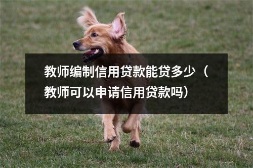 教师编制信用贷款能贷多少(教师可以申请信用贷款吗)