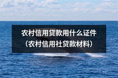 农村信用贷款用什么证件（农村信用社贷款材料）
