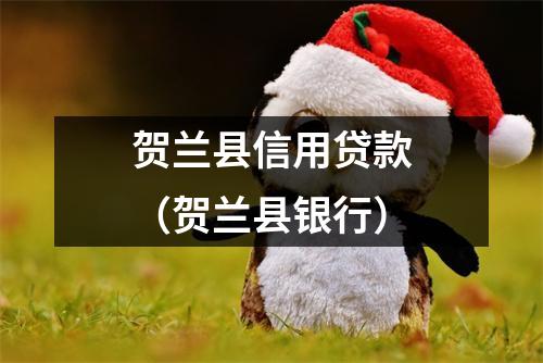 贺兰县信用贷款（贺兰县银行）