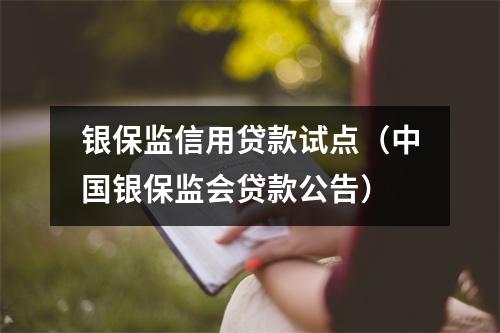 银保监信用贷款试点（中国银保监会贷款公告）