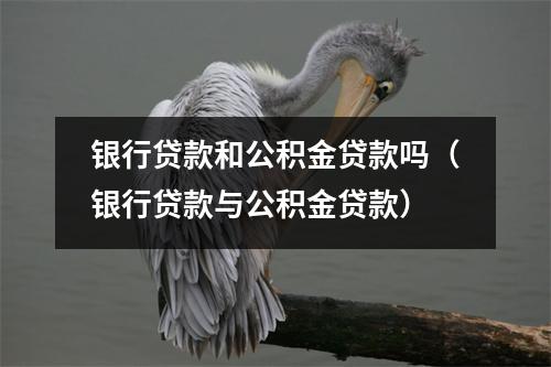 银行贷款和公积金贷款吗（银行贷款与公积金贷款）