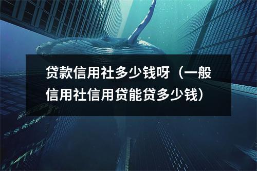 贷款信用社多少钱呀（一般信用社信用贷能贷多少钱）