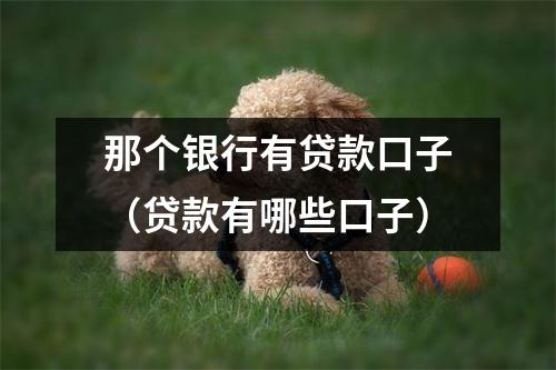 那个银行有贷款口子（贷款有哪些口子）