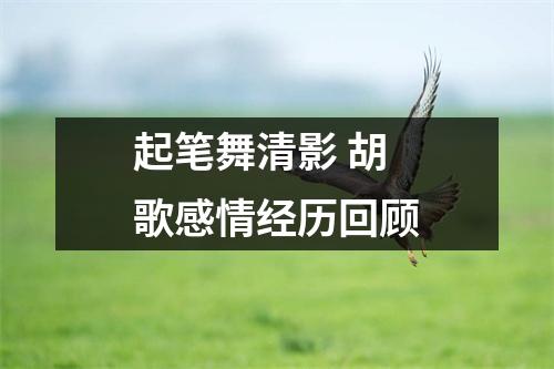 起笔舞清影 胡歌感情经历回顾