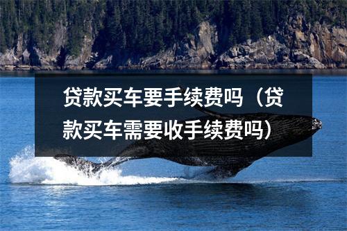 贷款买车要手续费吗（贷款买车需要收手续费吗）