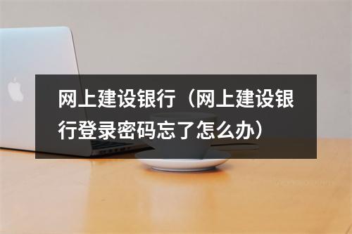 网上建设银行(网上建设银行登录密码忘了怎么办)