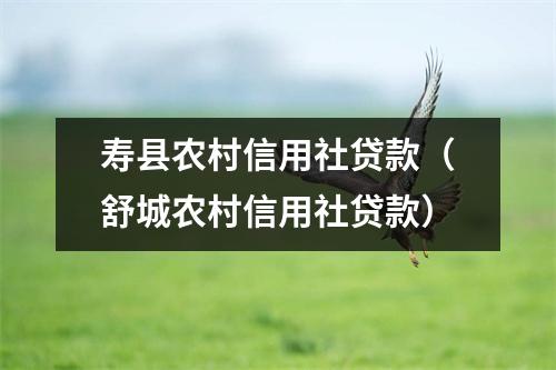 寿县农村信用社贷款（舒城农村信用社贷款）