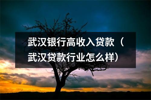 武汉银行高收入贷款（武汉贷款行业怎么样）