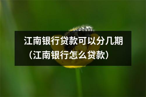 江南银行贷款可以分几期（江南银行怎么贷款）