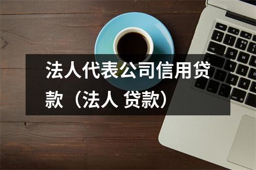 法人代表公司信用贷款（法人 贷款）
