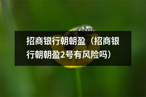 招商银行朝朝盈(招商银行朝朝盈2号有风险吗)
