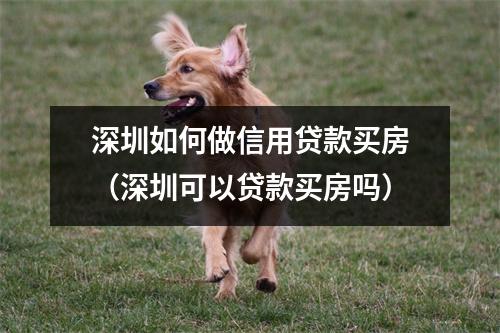 深圳如何做信用贷款买房（深圳可以贷款买房吗）