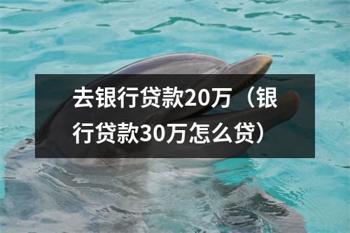 去银行贷款20万（银行贷款30万怎么贷）