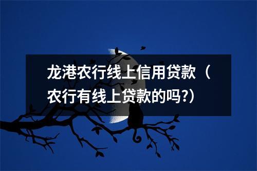 龙港农行线上信用贷款（农行有线上贷款的吗?）