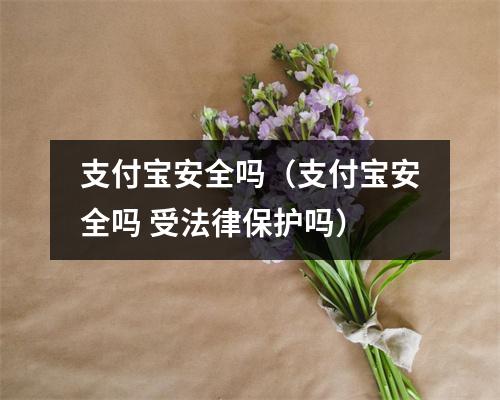 支付宝安全吗（支付宝安全吗 受法律保护吗）