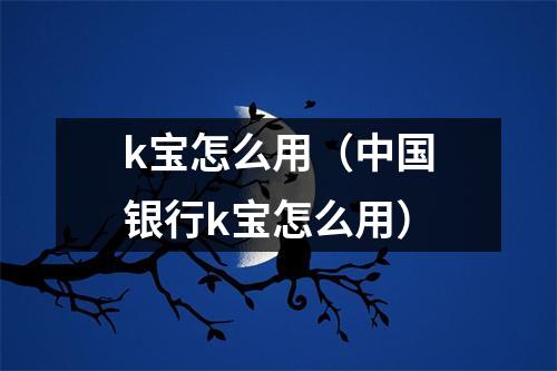 k宝怎么用（中国银行k宝怎么用）
