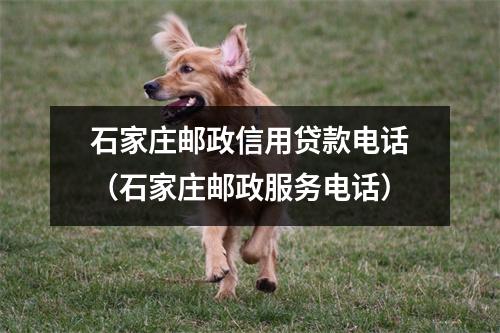 石家庄邮政信用贷款电话（石家庄邮政服务电话）