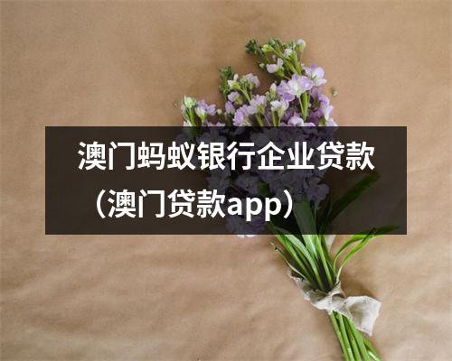 澳门蚂蚁银行企业贷款（澳门贷款app）