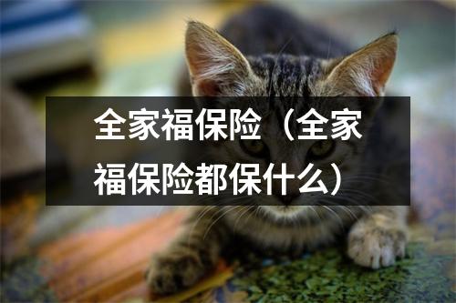 全家福保险（全家福保险都保什么）