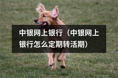 中银网上银行（中银网上银行怎么定期转活期）