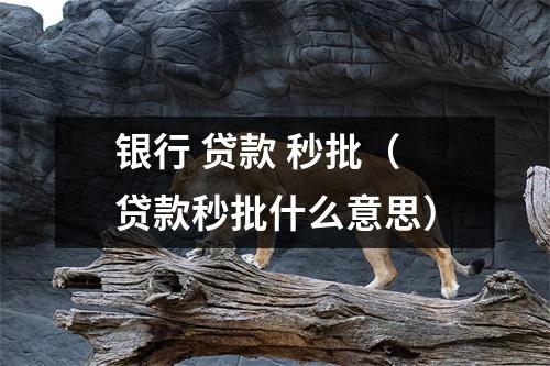银行 贷款 秒批（贷款秒批什么意思）