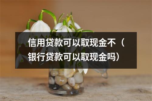 信用贷款可以取现金不（银行贷款可以取现金吗）