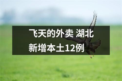 飞天的外卖 湖北新增本土12例