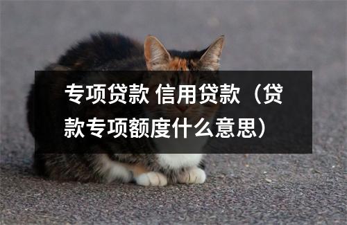 专项贷款 信用贷款（贷款专项额度什么意思）